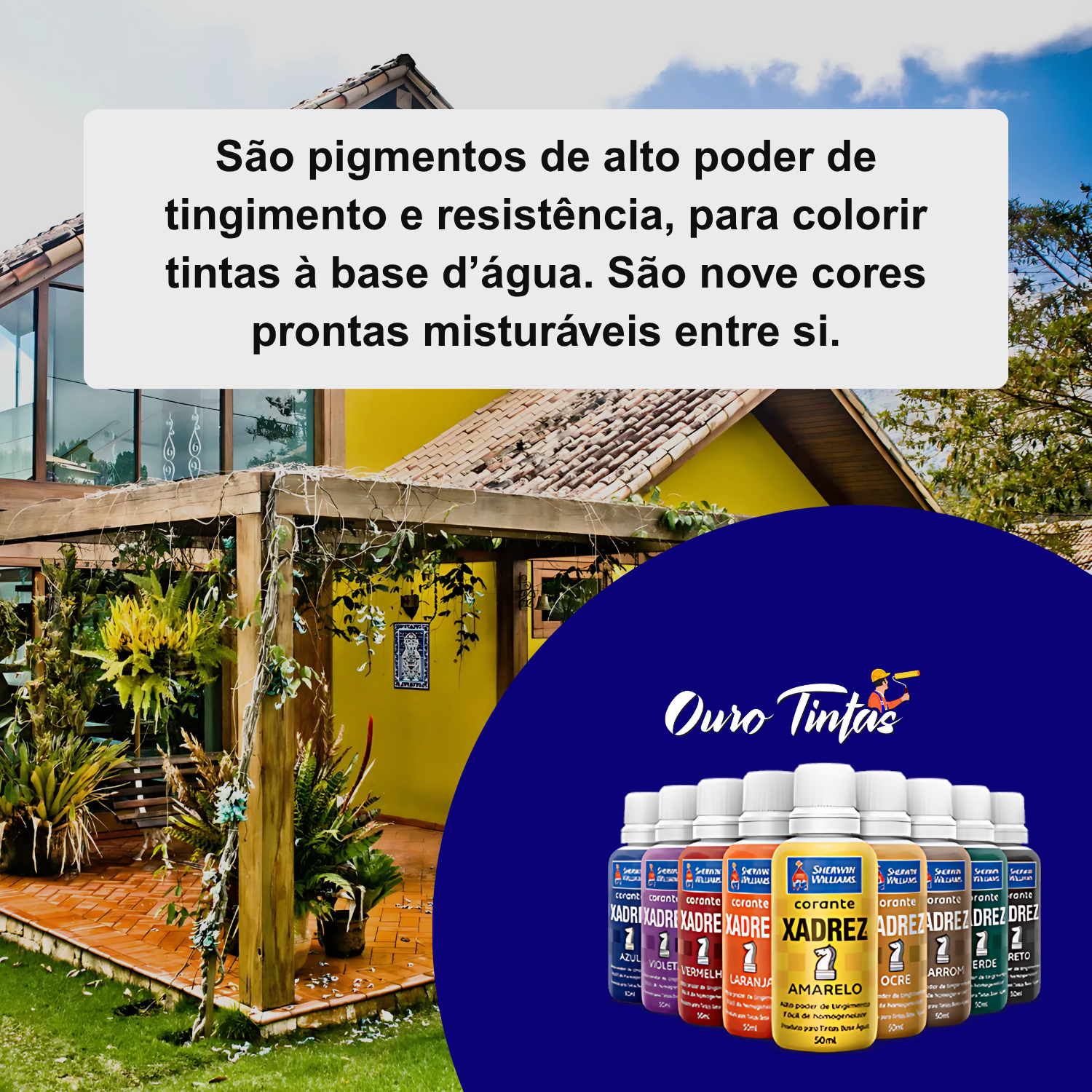 Pigmento Corante P/ Tintas Xadrez 50ml - KIT 12 UN - Imagem 4
